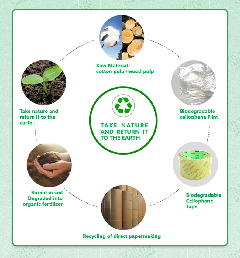 biodegradable sellotape